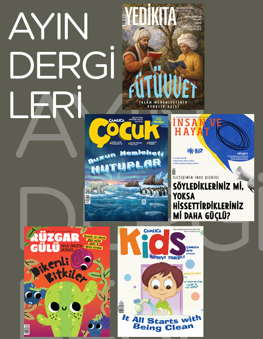 Ayın Dergileri
