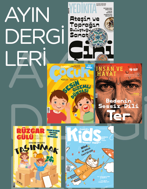 Ayın Dergileri