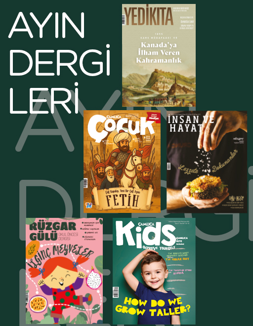 Ayın Dergileri