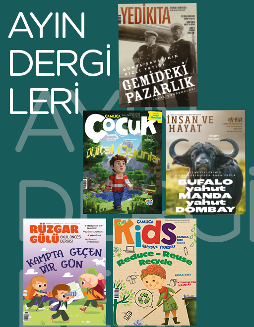 Ayın Dergileri